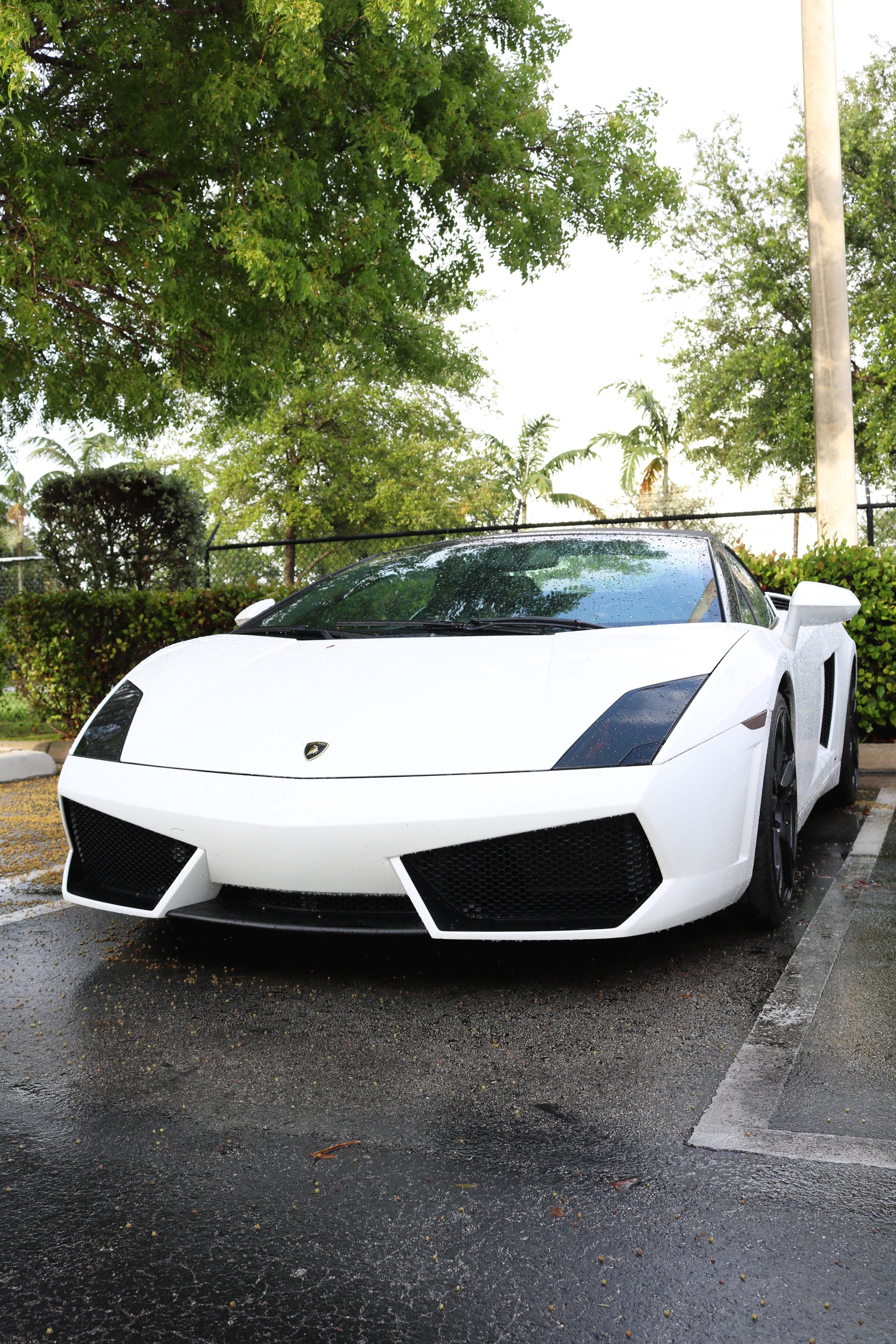 MPH Club Luxury Transportation Concierge in Florida - The Luxury
