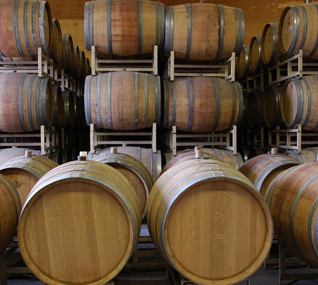 Barrels Inside The Wine Cellar at Macari Vineyards
