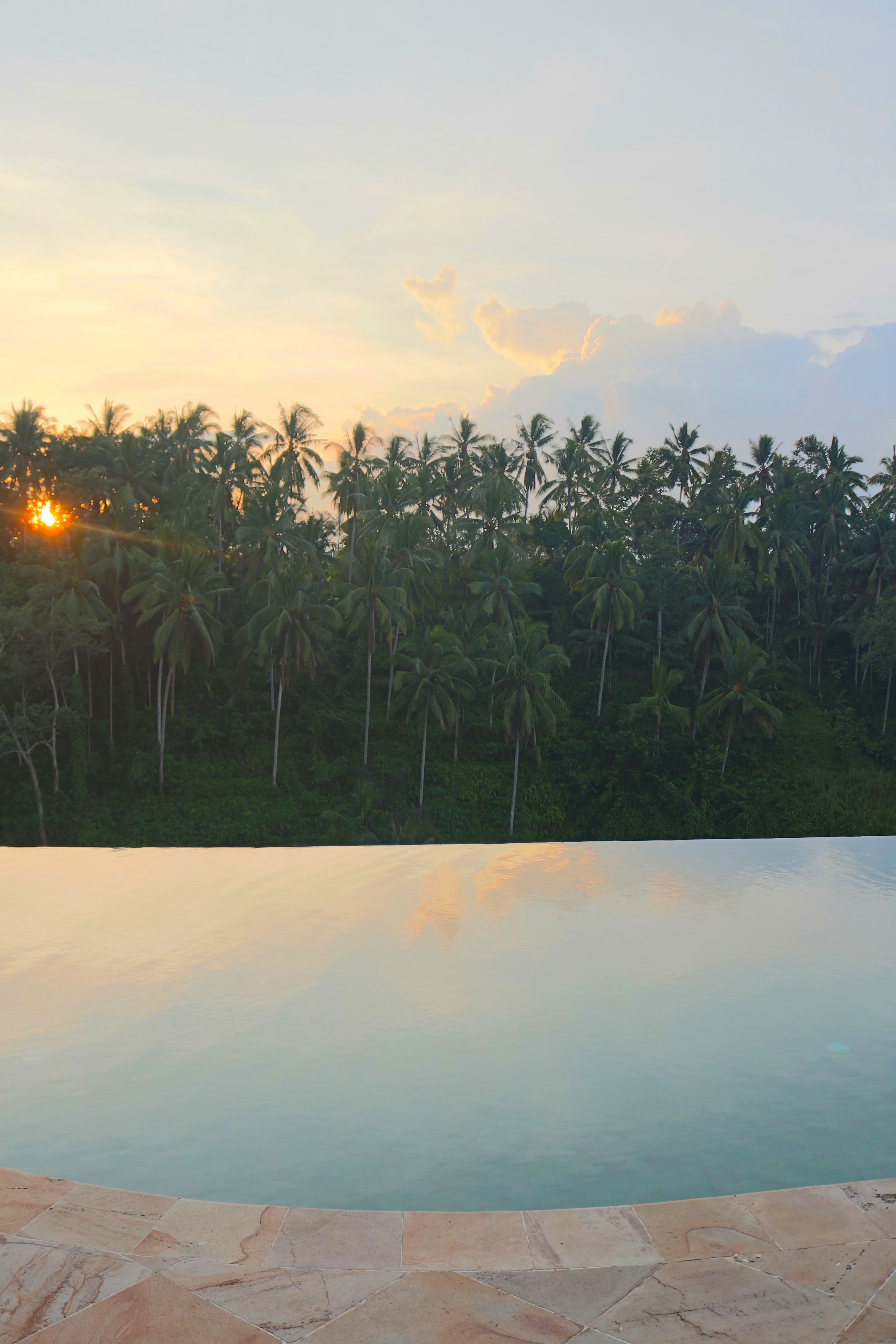 Infinity Pool Views at The Viceroy Bali