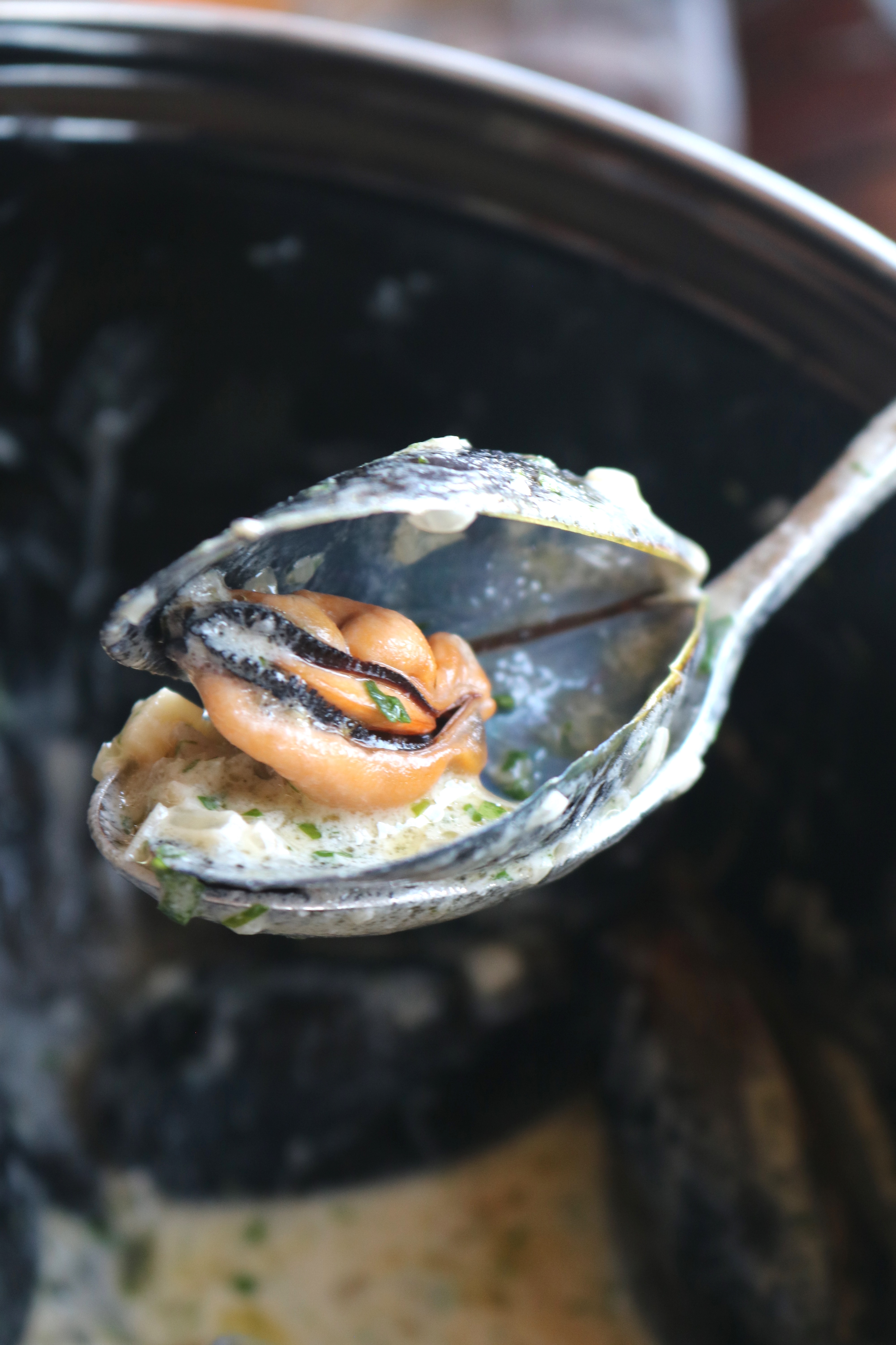 Delicious Clams at Rock Salt - The Nai Harn Phuket - Fine Dining - The Luxury Lifestyle Magazine