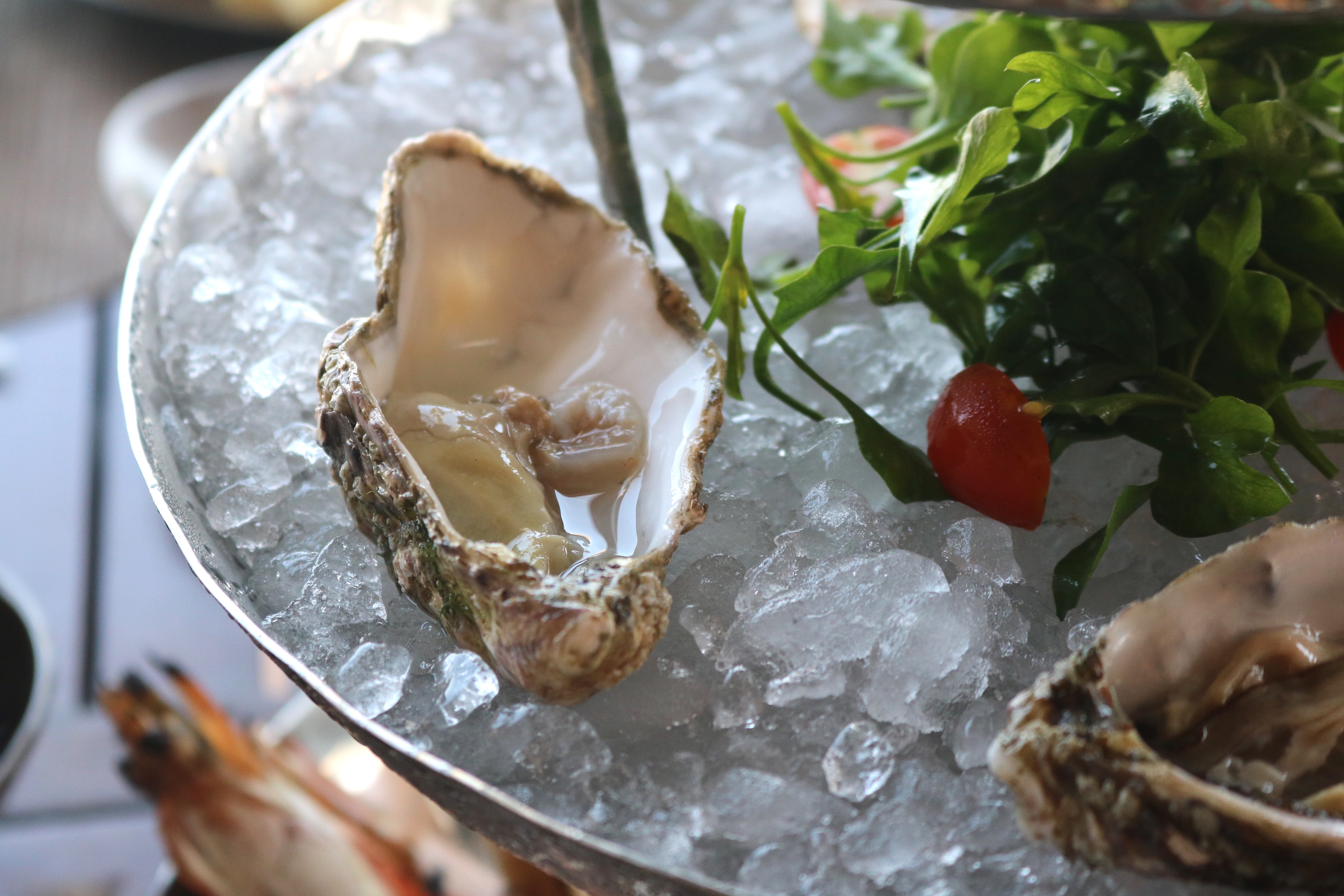 Fresh Oysters at Rock Salt Restaurant - The Nai Harn, Phuket, Thailand