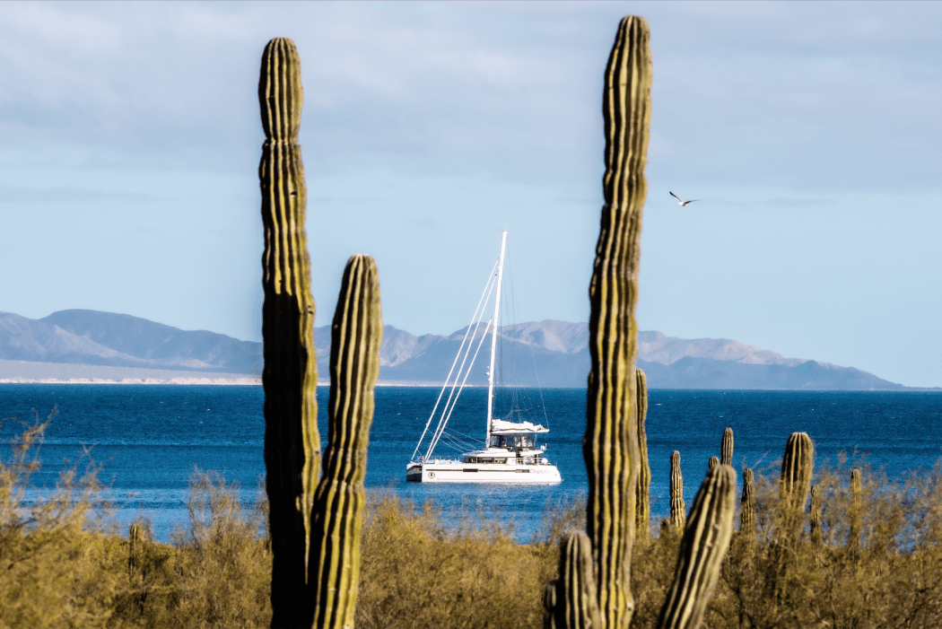 Sailing Collective - Sailing Trip in Baja California del Sur