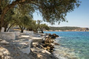 Adriatic coast with olive trees and stone terraces by the sea