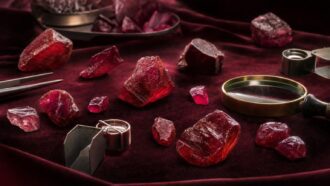 Rough Mozambique rubies with magnifying glass and gem tools on velvet