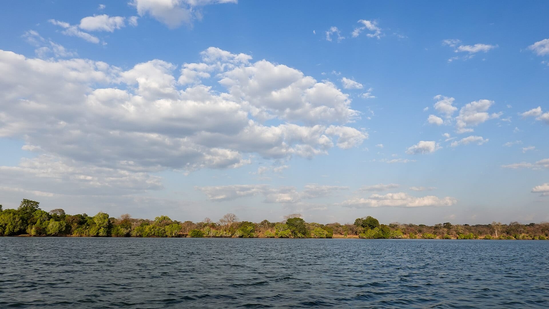 Kafue River with tree-lined bank and blue sky with clouds
