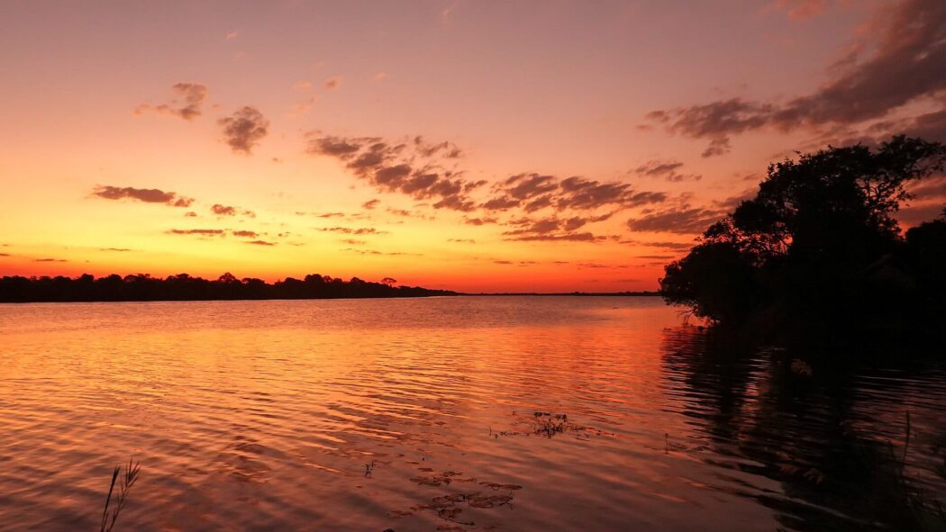 Sunset over the Kafue River with orange sky and silhouetted trees