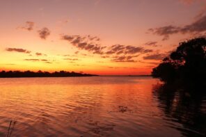 Sunset over the Kafue River with orange sky and silhouetted trees