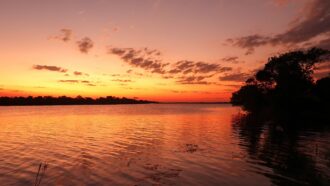 Sunset over the Kafue River with orange sky and silhouetted trees
