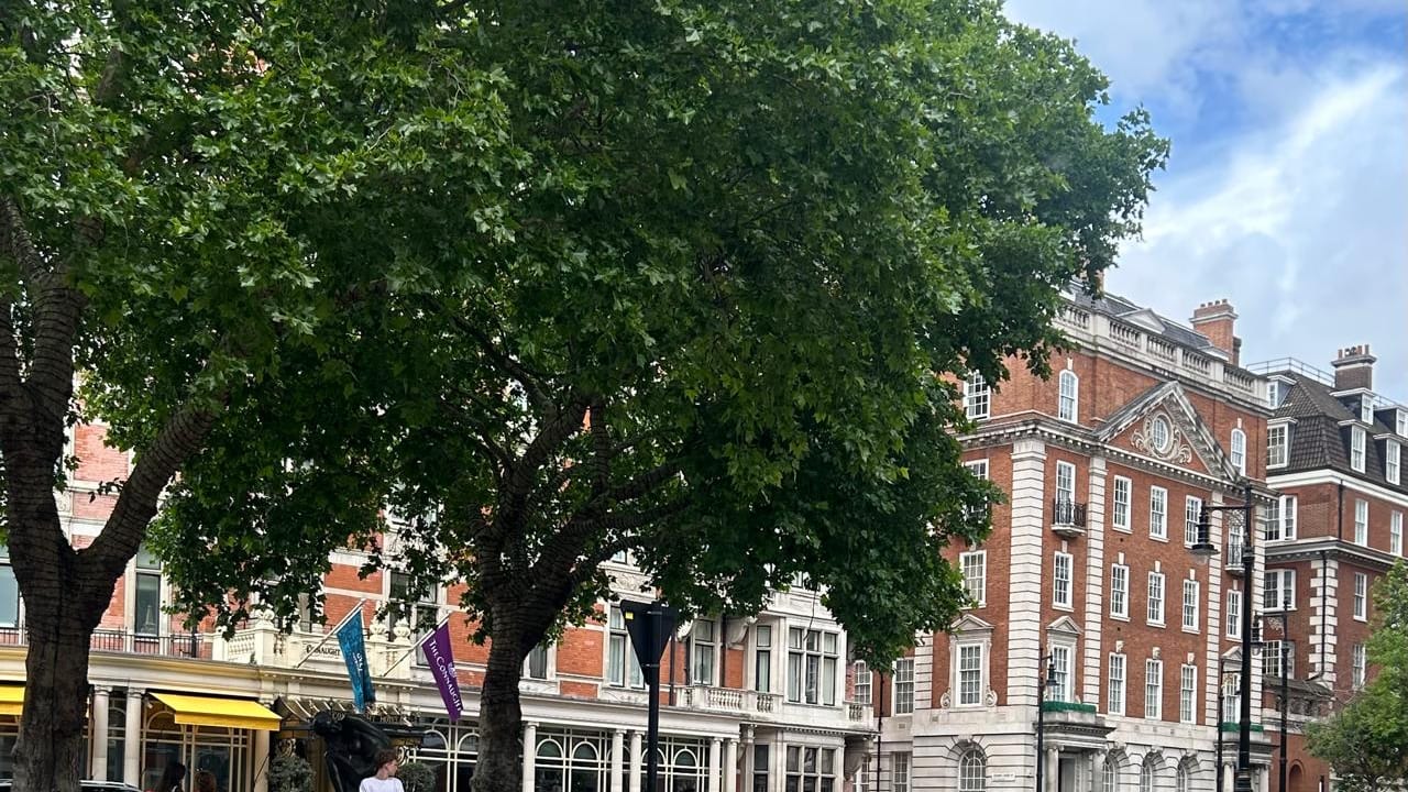 Mayfair House and the Connaught Hotel in Mayfair, London with trees and people in the foreground